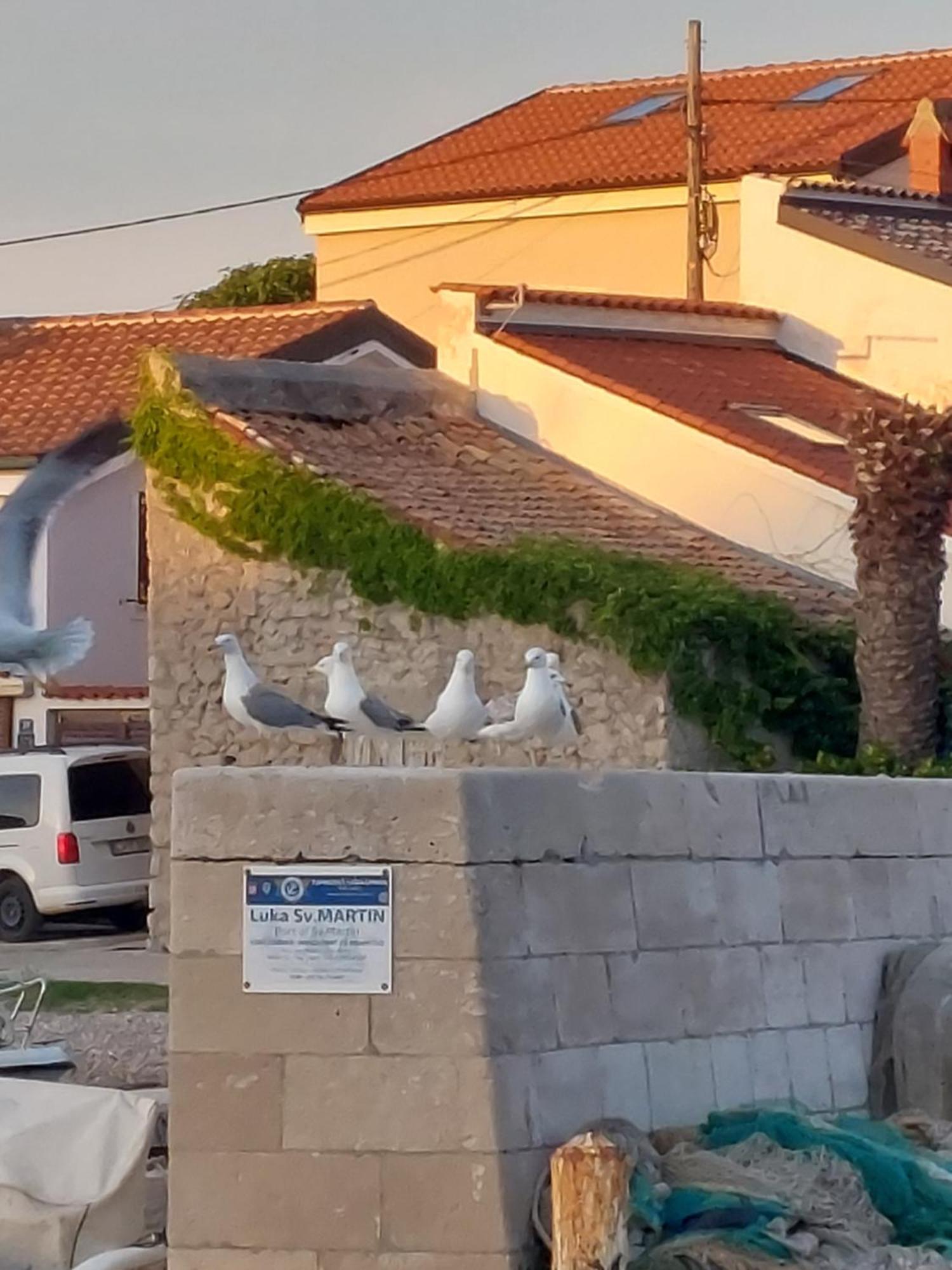 Apartments Suncica Mali Lošinj Kültér fotó